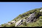 981020 294.jpg